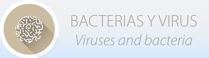 bacterias-virus