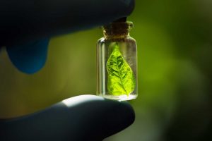 importancia de la ciencia en el cambio climatico